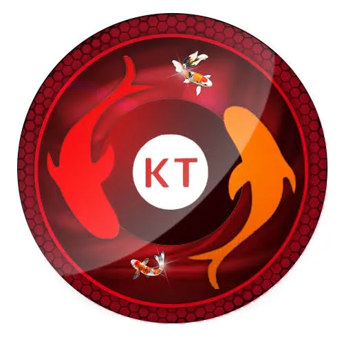 koitoto APK Kasino